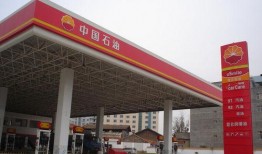 武汉加油站爆料事件视频,真相与争议交织的油品安全疑云